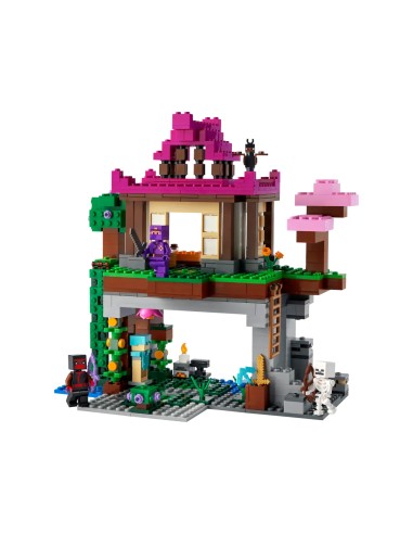 Lego Minecraft - I Campi d’Allenamento - 21183