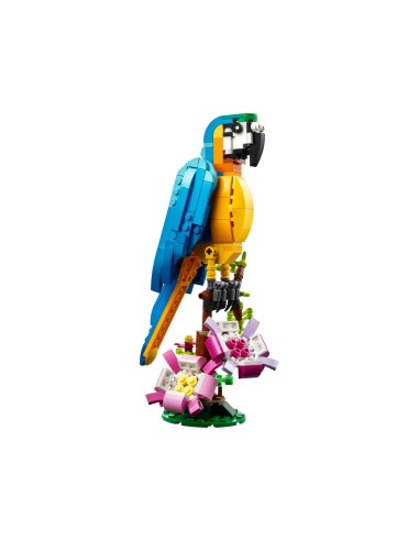Lego - Pappagallo esotico - Creator - 31136.jpg