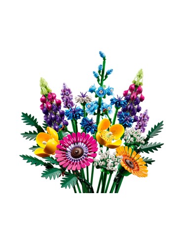 lego Botanical Collection - 10313