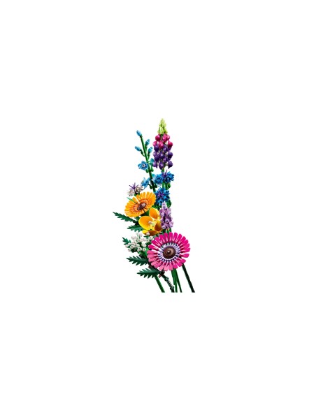 lego Botanical Collection - 10313