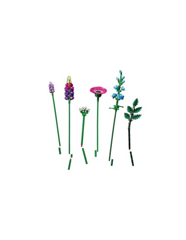 lego Botanical Collection - 10313