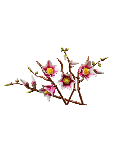 Lego - Botanicals - Rametti di magnolia - 11510