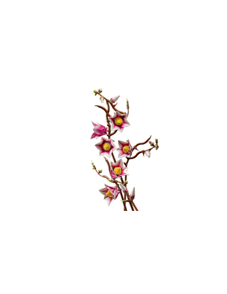 Lego - Botanicals - Rametti di magnolia - 11510